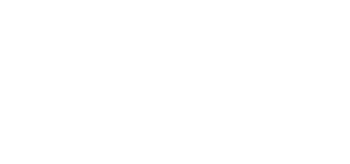 Logo SimpleTech